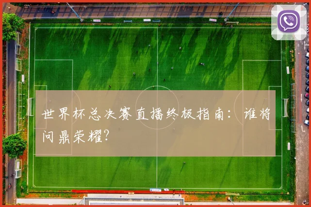 世界杯总决赛直播终极指南：谁将问鼎荣耀？