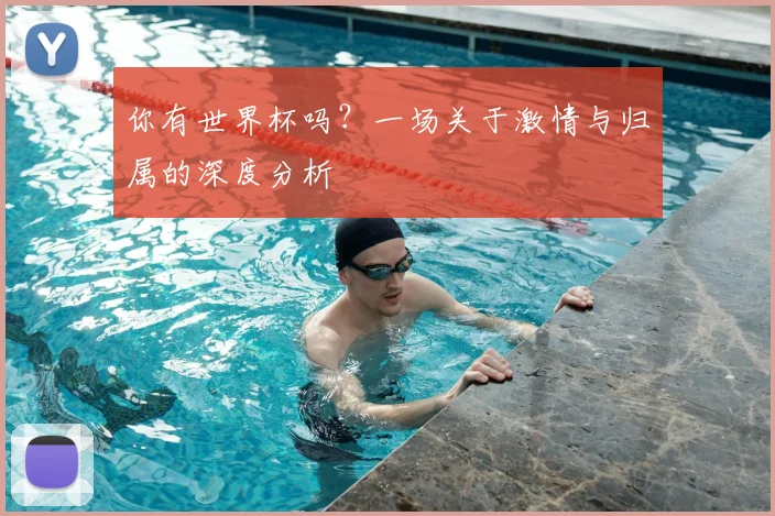 你有世界杯吗？一场关于激情与归属的深度分析
