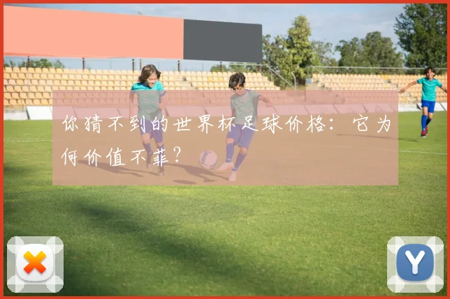 你猜不到的世界杯足球价格:它为何价值不菲?