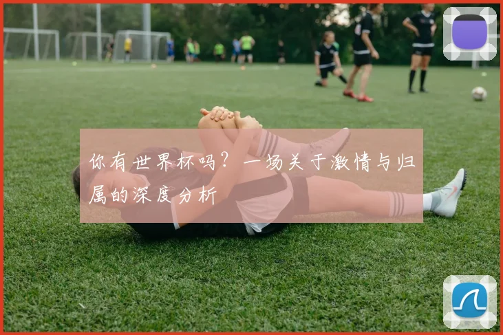 你有世界杯吗?一场关于激情与归属的深度分析