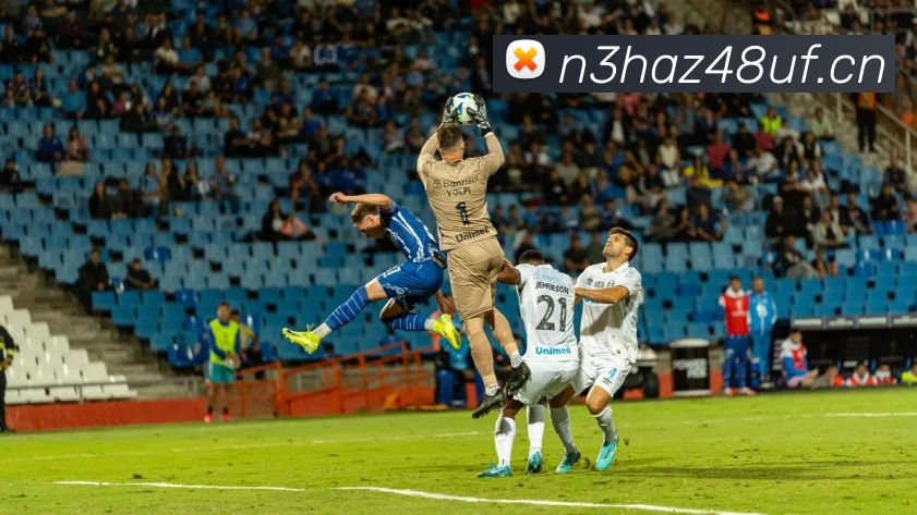 多媒体互动体验